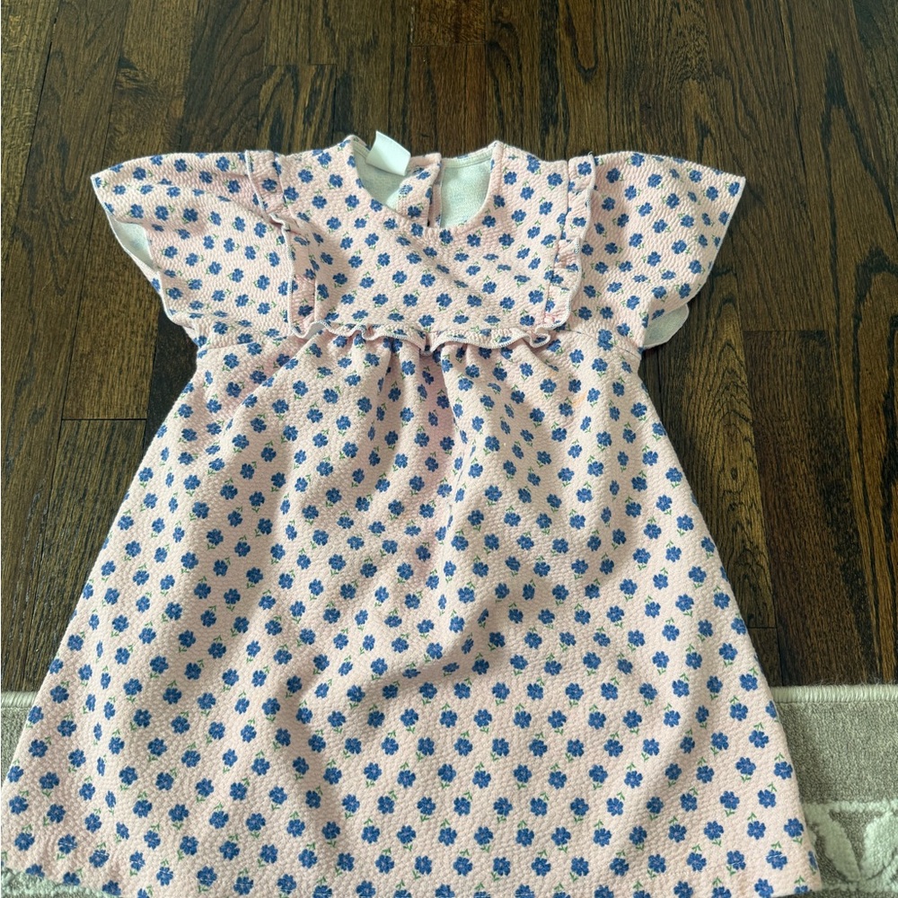 Zara Pink Dress with Blue Floral Pattern